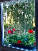Top Ventspils