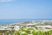 Top Torrox