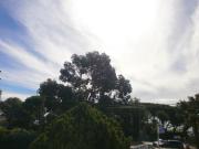 Top Cavalaire-sur-Mer