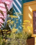 Top Barcelona Top Barcelona