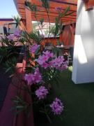 Top Jindrichuv Hradec