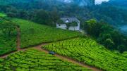 Top Munnar