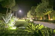 Top Barletta