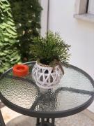 Top Siracusa Top Siracusa