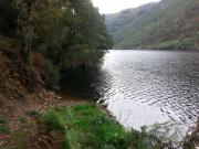 Top Ferreira de Panton