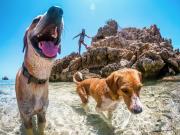 Top La Costa de Buen Hombre