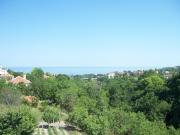 Top Byala
