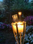 Top Senigallia Top Senigallia