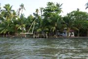 Top Cochin