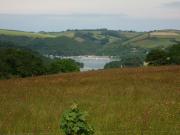 Top Dartmouth