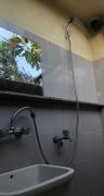 Top Palau