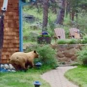 Top Estes Park