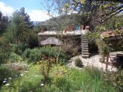 Oleander Stone House