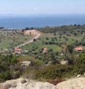 Top Nikiti