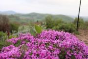 Top Banská Štiavnica