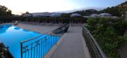 Top Centola