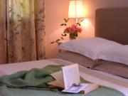 Top Zero Branco Top Zero Branco