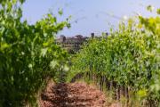 Top Monteriggioni