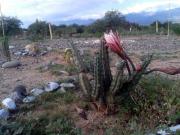 Top San Carlos de Bariloche