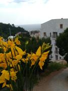 Top Petrovac na Moru