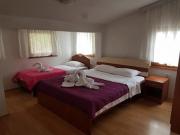 Top Trpejca