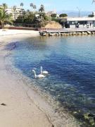 Top Antibes