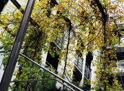 Helsinki 00100 Vuorikatu 40,5 m2