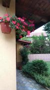 Top Tryavna
