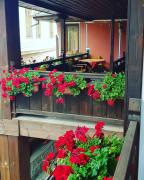 Top Koprivshtitsa Top Koprivshtitsa