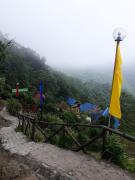 Top Sonāda