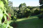 Top Durban