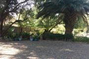 Top Johannesburg