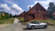 Top Zarzecze