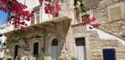 Top Giovinazzo