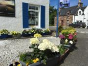 Top Ullapool