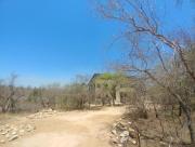 Lionsview Private Lodge - 6 Lions