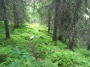 Leilighet i Åmotsdal