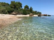 Top Vasto