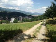 Top Leoben