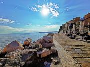 Top Piran
