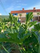 Top Šmarje Top Šmarje