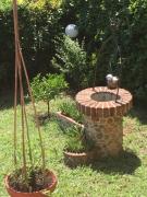 Top Massarosa Top Massarosa