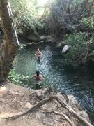 Top El Bosque