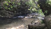 Top El Bosque