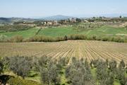 Top Montespertoli