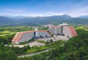 Top Sokcho