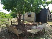 Wasini Raha Snorkeling and Diving