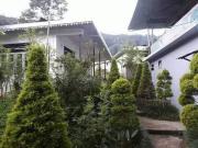 Yakchiri Homestay Yakchiri Homestay