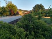 Top Penafiel