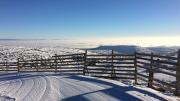 Top Camarena de la Sierra